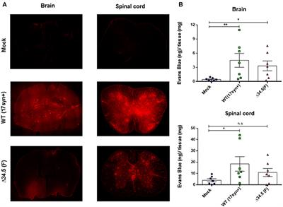 Asymptomatic Herpes Simplex Virus Type 1 Infection Causes an Earlier Onset and More Severe Experimental Autoimmune Encephalomyelitis